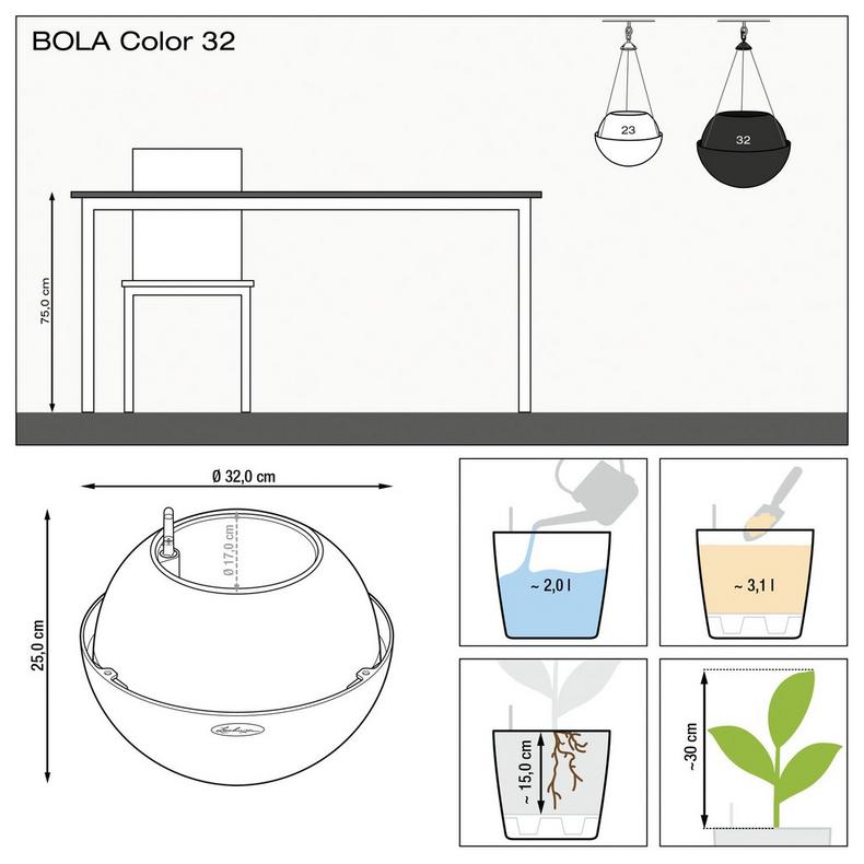 le_bola-color32_product_addi_nz